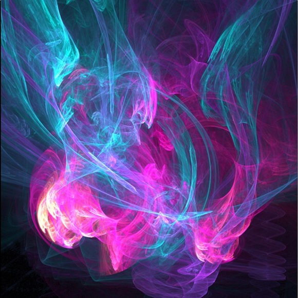 Meet your Posher, Izzie - Picture 1 of 1